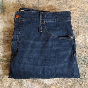 Madewell Curvy High Rise Skinny Jean